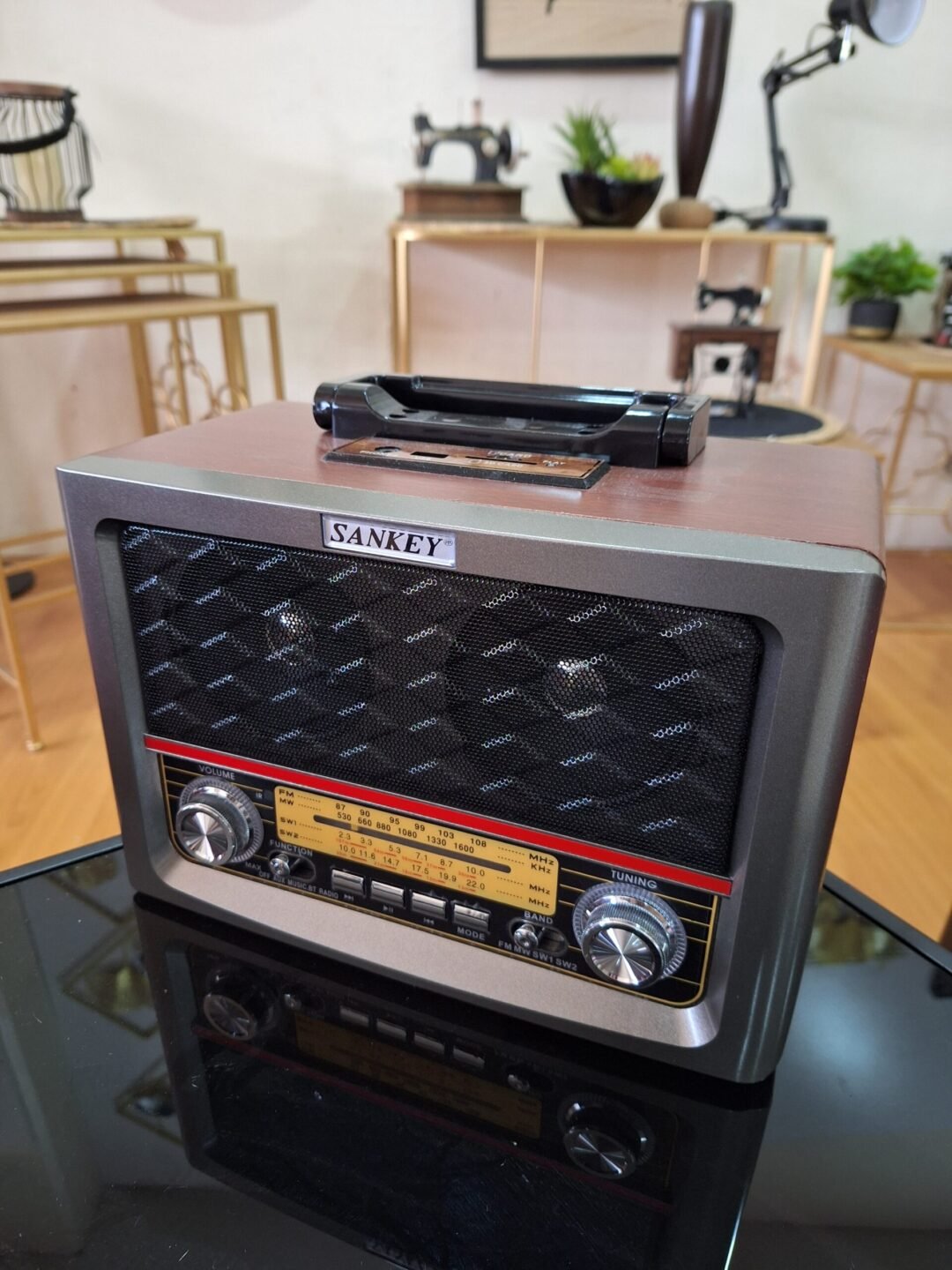 Radio Retro Sankey