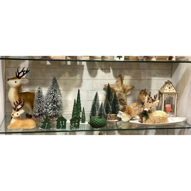 Tienda Carma