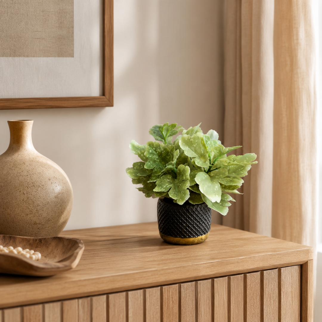 Planta Decorativa