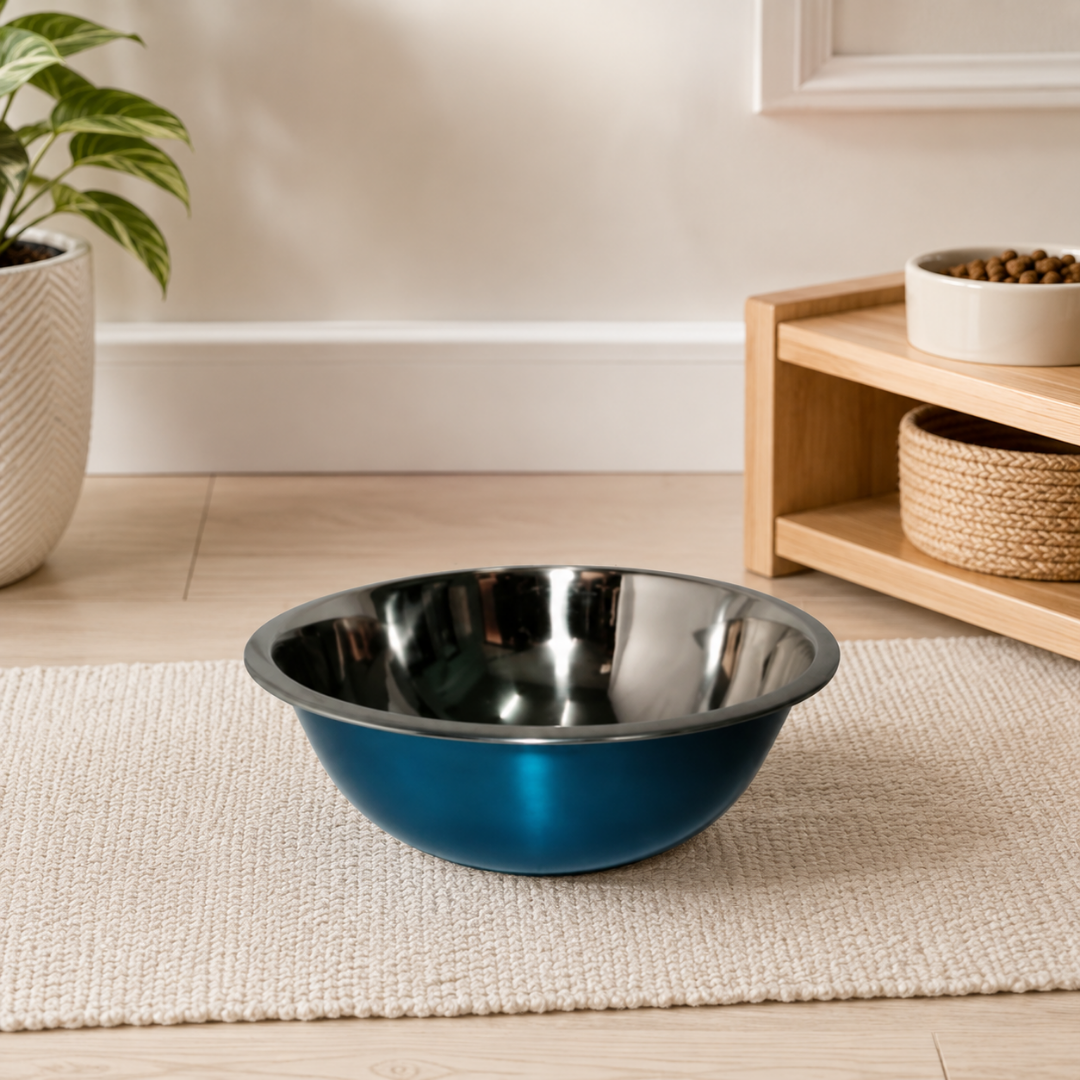 Bowls mediano