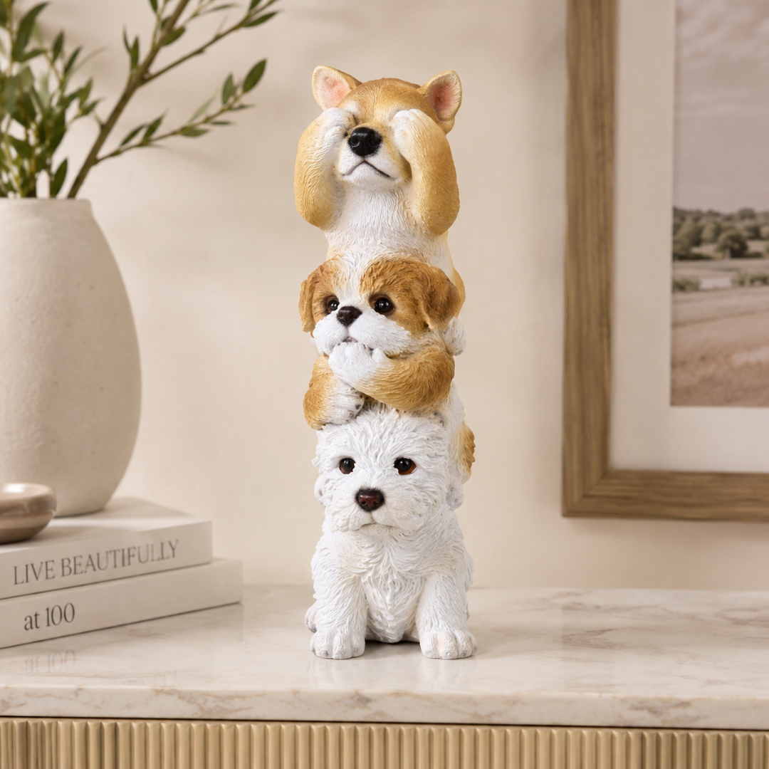 Set de 3 perros