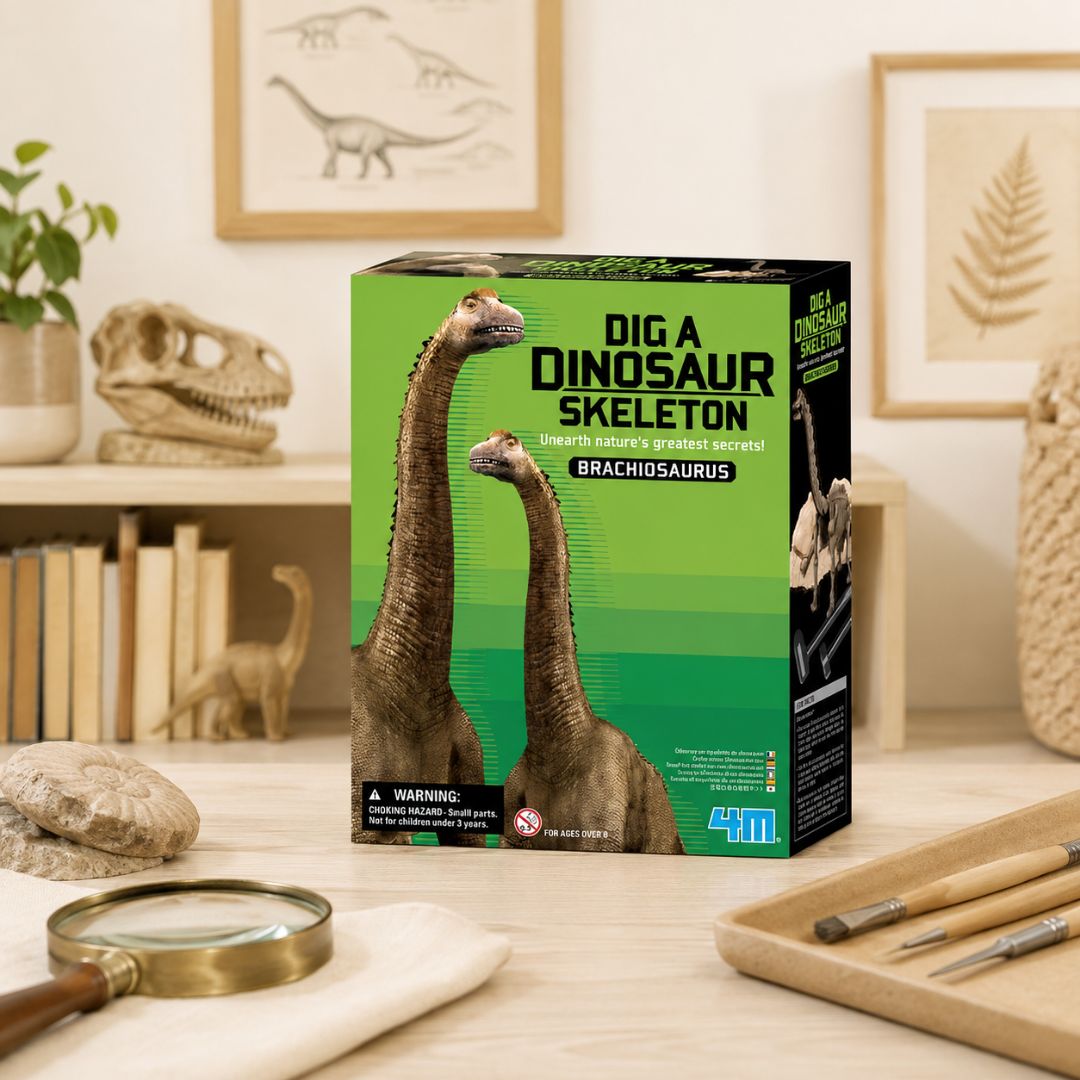 Cava y arma tu fósil de Brachiosaurus