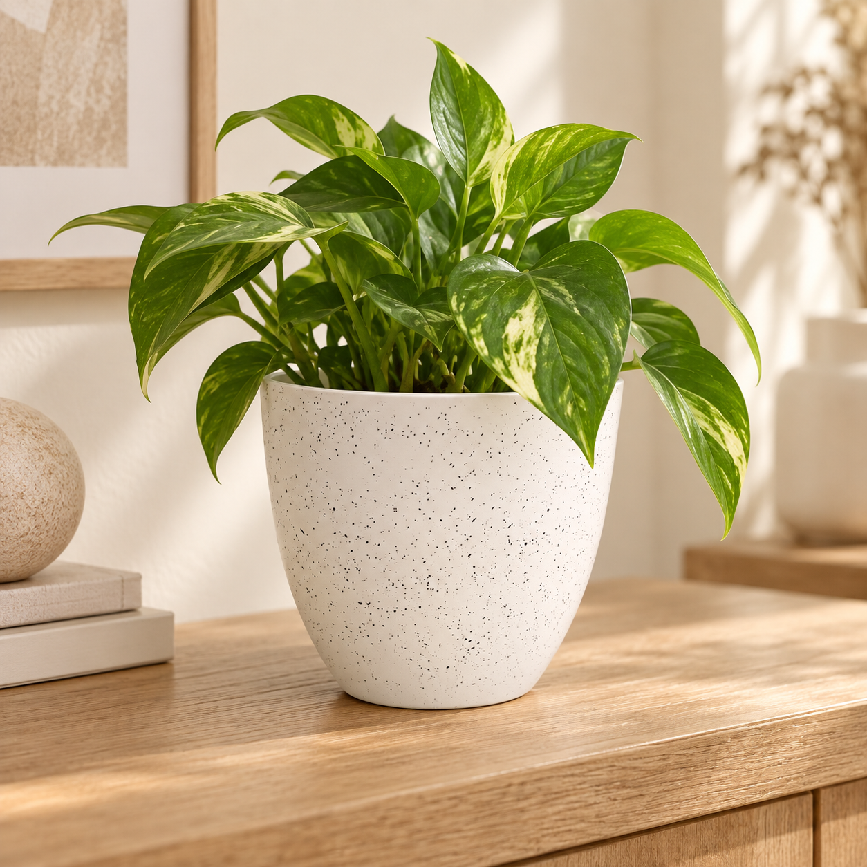 Maceta Decorativa Pequeña