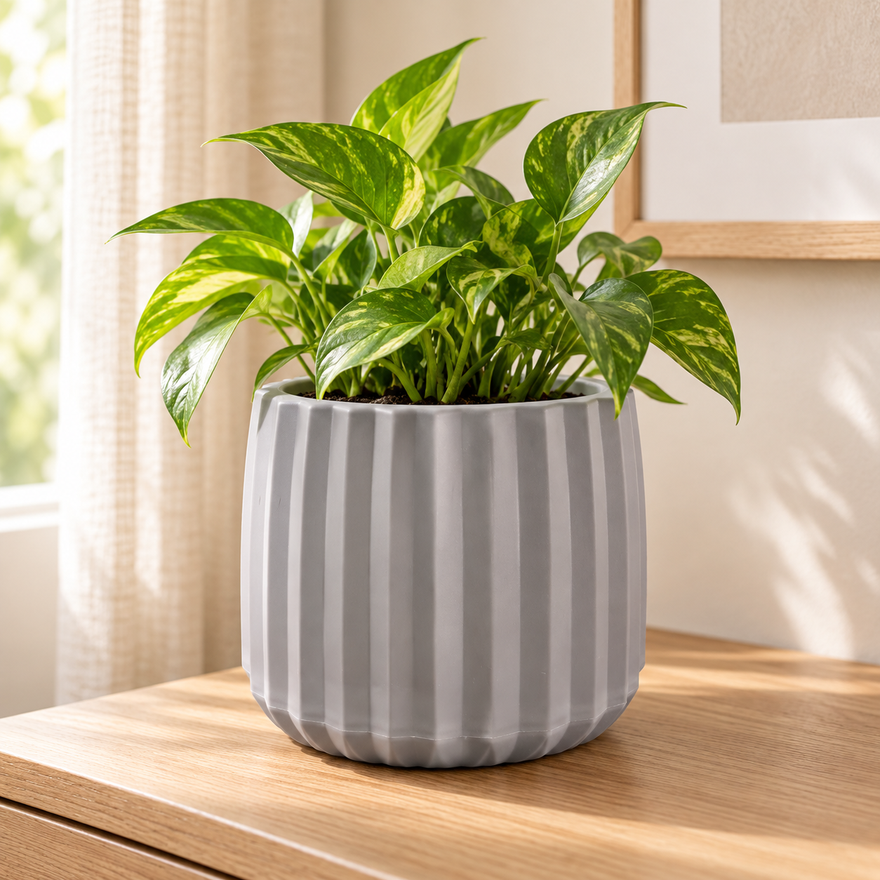 Maceta Decorativa Pequeña