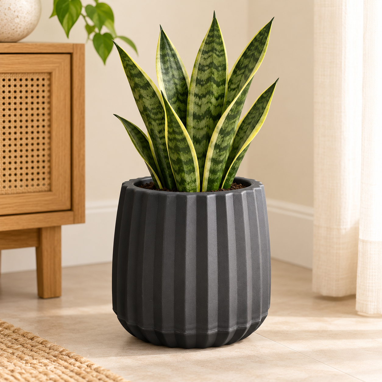 Maceta Decorativa Pequeña - Imagen 3