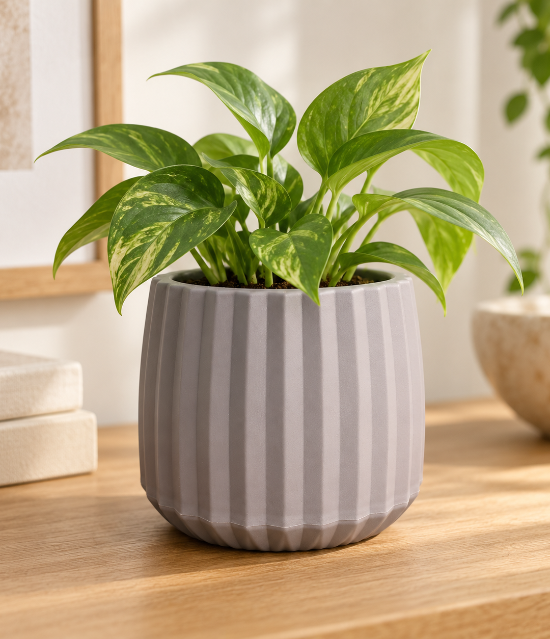 Maceta Decorativa Pequeña
